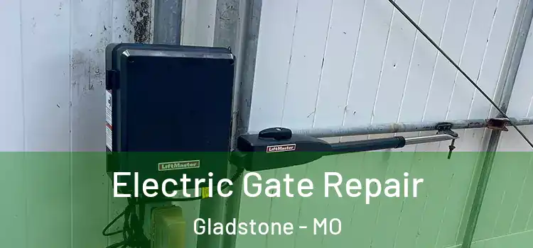  Electric Gate Repair Gladstone - MO