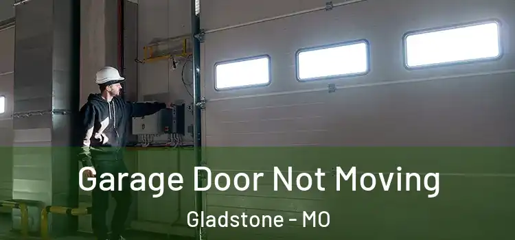  Garage Door Not Moving Gladstone - MO