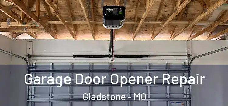  Garage Door Opener Repair Gladstone - MO