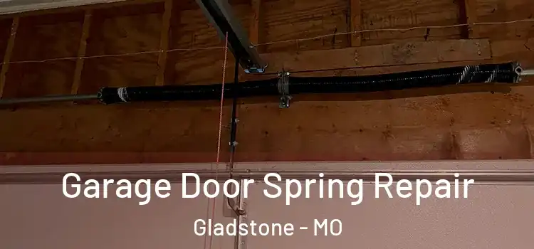  Garage Door Spring Repair Gladstone - MO