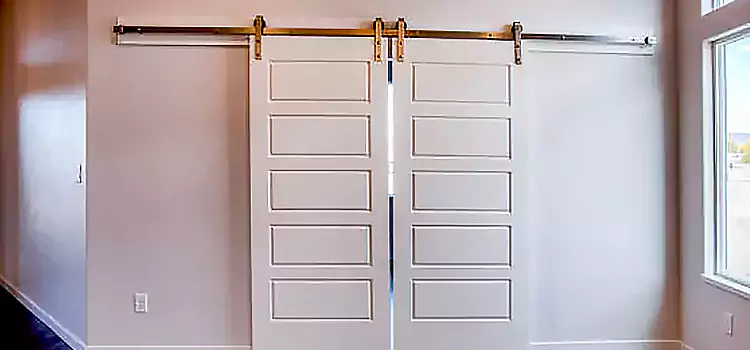 Glass Barn Door with Installation Hardware Kit Gladstone