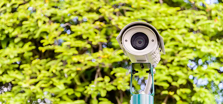 Advanced Surveillance Solutions for Every Need in Gladstone