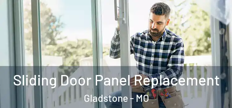  Sliding Door Panel Replacement Gladstone - MO